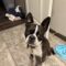 Cooper