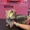 Millie