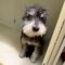 Lu Dort
