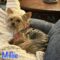 Millie