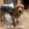 Julie Chin