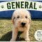 General
