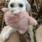 Dolly Parton